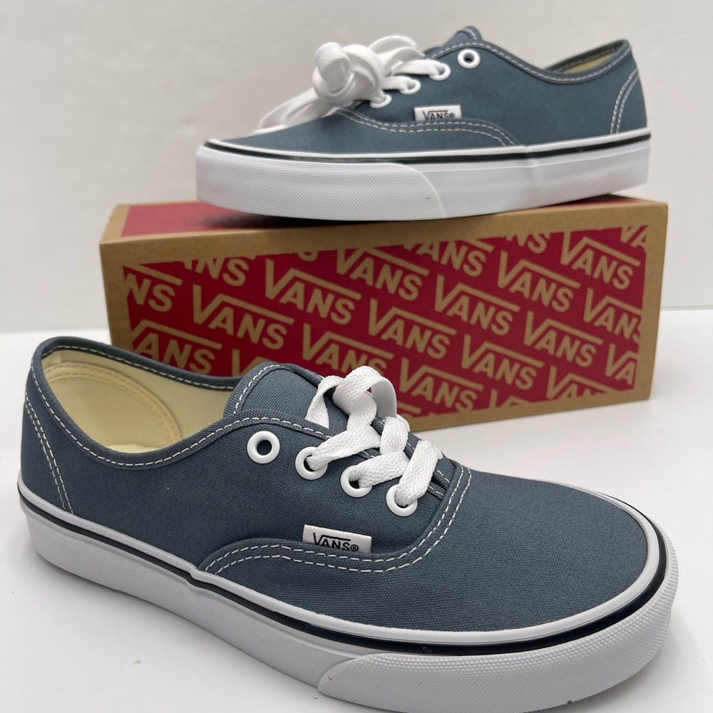 Vans Men’s Authentic Color Theory Stormy Weather
VN000EGARV2 Sneakers